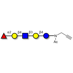 Blood group H antigen pentaose type 2 / Lacto-N-neofucopentaose I (LnNFP I) with terminal alkyne (Linker-CΞCH A)