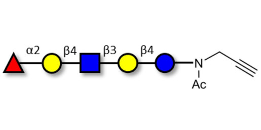 Blood group H antigen pentaose type 2 / Lacto-N-neofucopentaose I (LnNFP I) with terminal alkyne (Linker-CΞCH A) - GLY033-2-NPR