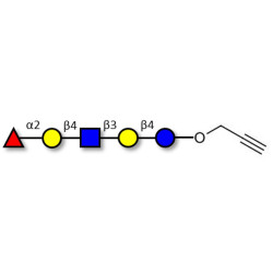 Blood group H antigen pentaose type 2 / Lacto-N-neofucopentaose I (LnNFP I) with terminal alkyne (Linker-CΞCH B)
