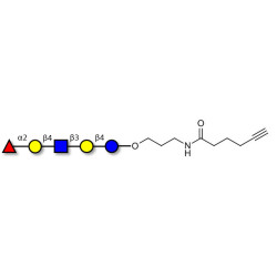 Blood group H antigen pentaose type 2 / Lacto-N-neofucopentaose I (LnNFP I) with terminal alkyne (Linker-CΞCH C)
