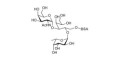 Blood group A antigen triose grafted on BSA