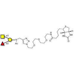 Blood group A antigen triose linked to biotin (Linker-BT A)