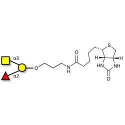 Blood group A antigen triose linked to biotin (Linker-BT B)