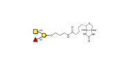 Blood group A antigen...
