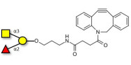 Blood group A antigen...