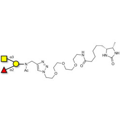Blood group A antigen triose linked to desthiobiotin (Linker-DBT-A)