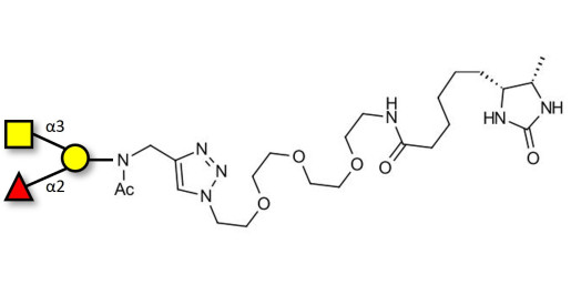 Blood group A antigen triose linked to desthiobiotin (Linker-DBT-A)