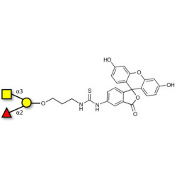 Blood group A antigen triose linked to fluorescein (Linker-FLUO A)