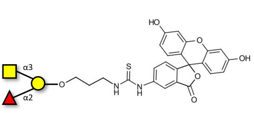 Blood group A antigen triose linked to fluorescein (Linker-FLUO A)