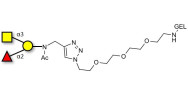 Blood group A antigen...