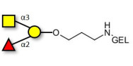 Blood group A antigen...