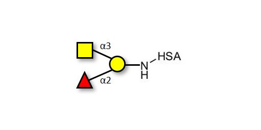 Blood group A antigen triose grafted on HSA
