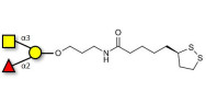 Blood group A antigen...