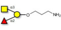 Blood group A antigen triose with free terminal amine (Linker-NH2 A) - GLY034-OAP