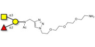 Blood group A antigen...