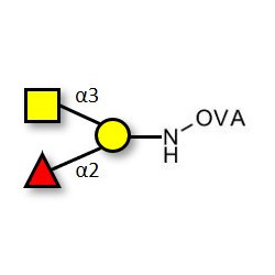 Blood group A antigen triose grafted on OVA