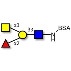 Blood group A antigen tetraose type 1 grafted on BSA