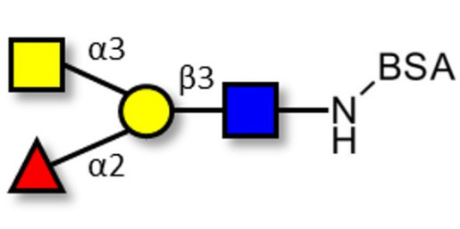 Blood group A antigen tetraose type 1 grafted on BSA