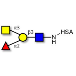 Blood group A antigen tetraose type 1 grafted on HSA