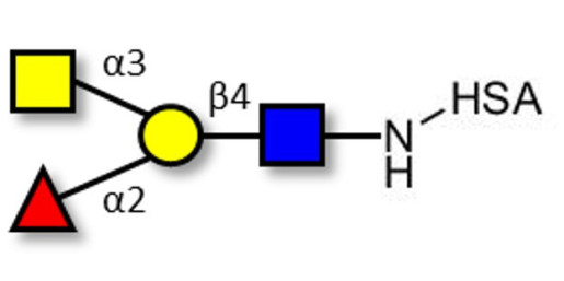 Blood group A antigen tetraose type 2 grafted on HSA