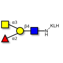Blood group A antigen tetraose type 2 grafted on KLH