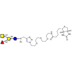 Blood group A antigen tetraose type 6 linked to biotin (Linker-BT A)
