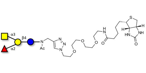 Blood group A antigen tetraose type 6 linked to biotin (Linker-BT A)