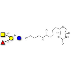 Blood group A antigen tetraose type 6 linked to biotin (Linker-BT B)