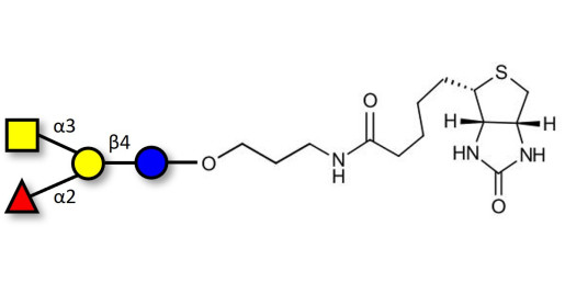 Blood group A antigen tetraose type 6 linked to biotin (Linker-BT B)