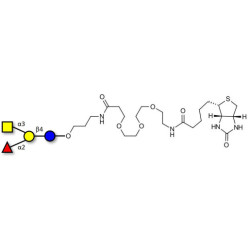 Blood group A antigen tetraose type 6 linked to biotin (Linker-BT C)