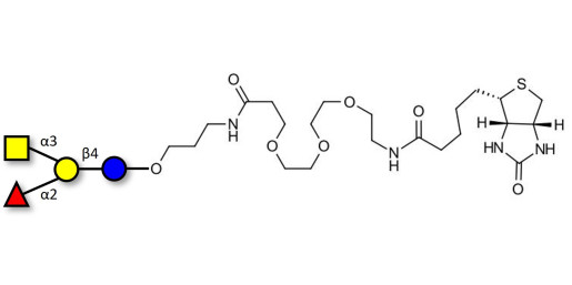 Blood group A antigen tetraose type 6 linked to biotin (Linker-BT C)