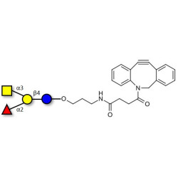 Blood group A antigen tetraose type 6 with DBCO (Linker-DBCO A)