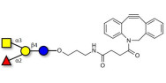 Blood group A antigen...