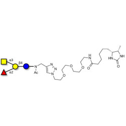 Blood group A antigen tetraose type 6 linked to desthiobiotin (Linker-DBT-A)