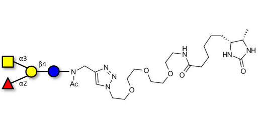Blood group A antigen tetraose type 6 linked to desthiobiotin (Linker-DBT-A)