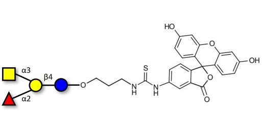 Blood group A antigen tetraose type 6 linked to fluorescein (Linker-FLUO A)