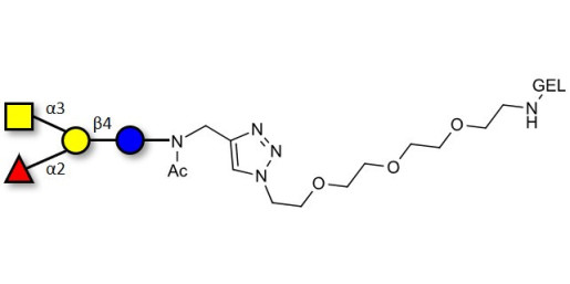 Blood group A antigen tetraose type 6 grafted on gel for affinity chromatography (Linker-GEL A)