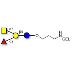 Blood group A antigen tetraose type 6 grafted on gel for affinity chromatography (Linker-GEL B)