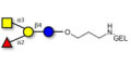 Blood group A antigen tetraose type 6 grafted on gel for affinity chromatography (Linker-GEL B)