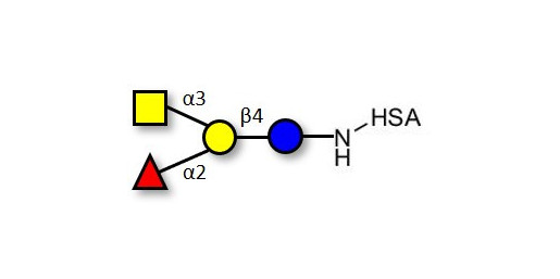 Blood group A antigen tetraose type 6 grafted on HSA