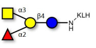 Blood group A antigen...