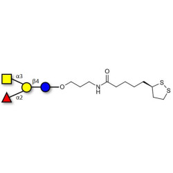 Blood group A antigen tetraose type 6 with cyclic di-thiol (Linker-LIPO A)