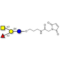 Blood group A antigen tetraose type 6 linked to maleimide (Linker-MAL A)