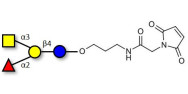 Blood group A antigen...