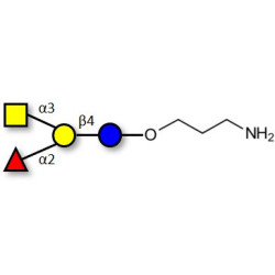 Blood group A antigen tetraose type 6 with free terminal amine (Linker-NH2 A)