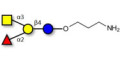 Blood group A antigen tetraose type 6 with free terminal amine (Linker-NH2 A)