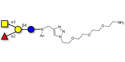 Blood group A antigen tetraose type 6 with free terminal amine (Linker-NH2 B) - GLY035-3-NAc-sp1-NH2