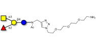 Blood group A antigen...