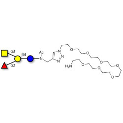 Blood group A antigen tetraose type 6 with free terminal amine (Linker-NH2 C)