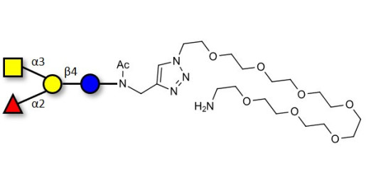 Blood group A antigen tetraose type 6 with free terminal amine (Linker-NH2 C) - GLY035-3-NAc-sp2-NH2